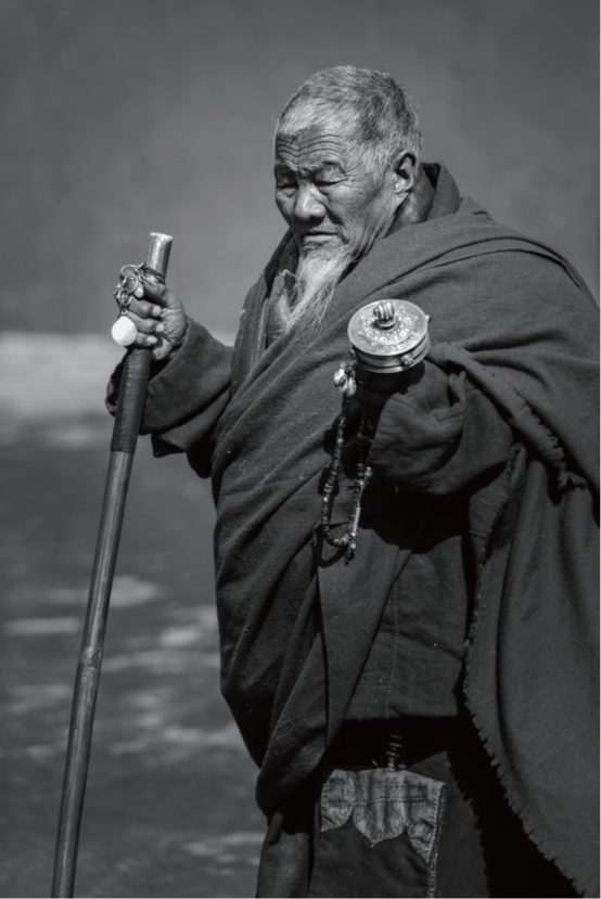 8.cc U投辅导者